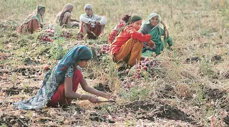 बाहेरगावी मजुरीसाठी गेल्यास करणार बहिष्कृत ; तळवाडे ग्रामपंचायतचा अजब फतवा