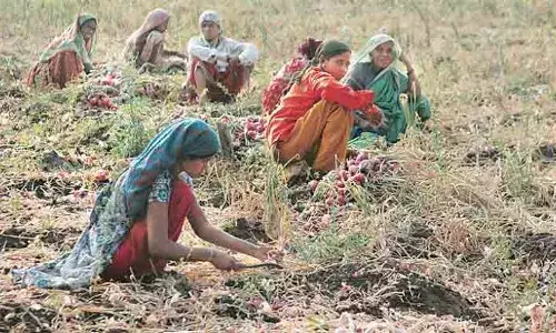 बाहेरगावी मजुरीसाठी गेल्यास करणार बहिष्कृत ; तळवाडे ग्रामपंचायतचा अजब फतवा बाहेरगावी मजुरीसाठी गेल्यास करणार बहिष्कृत ; तळवाडे ग्रामपंचायतचा अजब फतवा