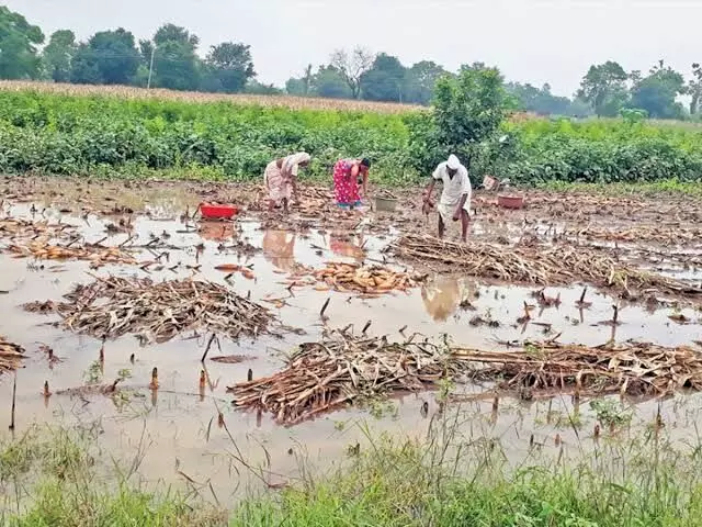 मराठवाड्यातील शेतकरी उर्वरित नुकसानभरपाईच्या प्रतीक्षेत