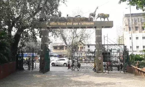 राणी बागेचे नाव बदलून हजरत हाजी पीर बाबा राणी बाग करण्यात आल्याचा दावा खरा आहे का? राणी बागेचे नाव बदलून हजरत हाजी पीर बाबा राणी बाग करण्यात आल्याचा दावा खरा आहे का?