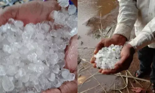 औरंगाबाद, जालना जिल्ह्याला अवकाळीने झोडपले ; शेतकऱ्यांचे मोठे नुकसान औरंगाबाद, जालना जिल्ह्याला अवकाळीने झोडपले ; शेतकऱ्यांचे मोठे नुकसान