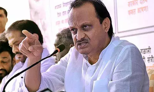 कुत्रे, मांजरी आणि कोंबड्यांचे तुम्ही प्रतिनिधी नाही, अजित पवार यांनी सुनावले कुत्रे, मांजरी आणि कोंबड्यांचे तुम्ही प्रतिनिधी नाही, अजित पवार यांनी सुनावले