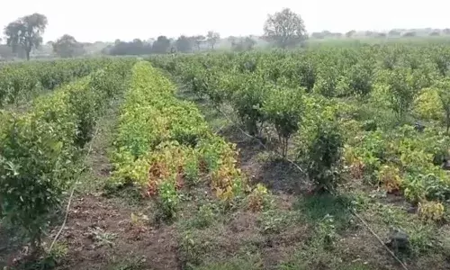 #lockdownyatra शेतमाल इकायचा कुठं? #lockdownyatra शेतमाल इकायचा कुठं?