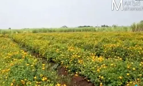 #lockdownyatra सोनं-नाणं मोडून जगलो; आता कसं जगायचं?