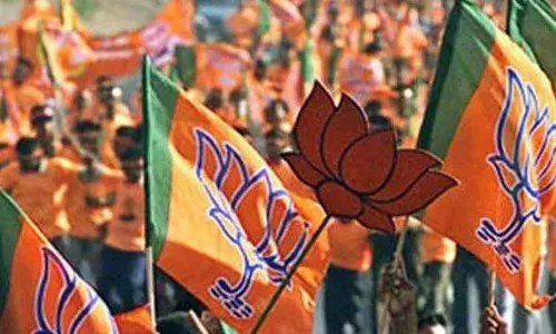 नगरपंचायत निवडणुकांमध्ये भाजप नंबर वन, देवेंद्र फडणवीस यांचा दावा नगरपंचायत निवडणुकांमध्ये भाजप नंबर वन, देवेंद्र फडणवीस यांचा दावा