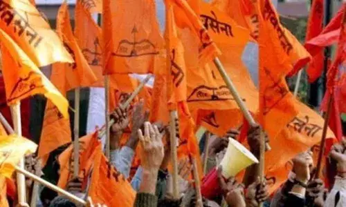 शिवसेनेत दोनच पुरुष आहेत का?शिवसेनेच्या एका कार्यकर्तीची कैफियत शिवसेनेत दोनच पुरुष आहेत का?शिवसेनेच्या एका कार्यकर्तीची कैफियत