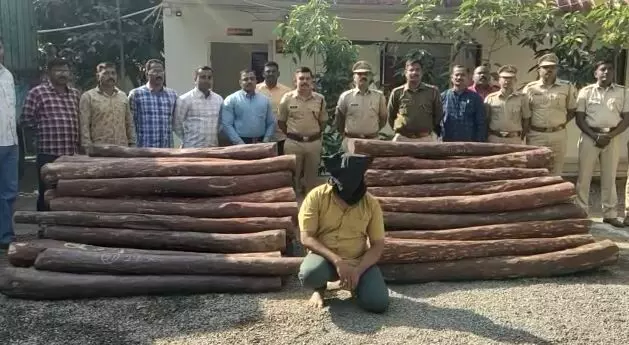 Red sandal wood Smuggler : सांगलीत पुष्पा, अडीच कोटींचे रक्तचंदन जप्त