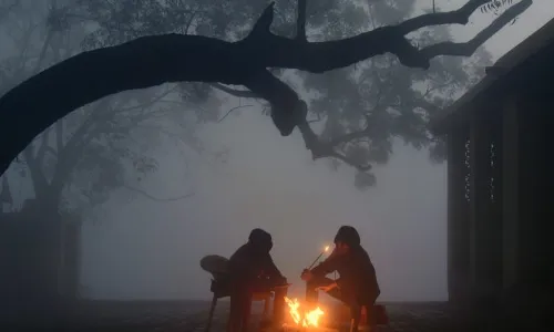 राज्यात थंडीचा कहर, पिकांवर गंभीर परिणाम राज्यात थंडीचा कहर, पिकांवर गंभीर परिणाम