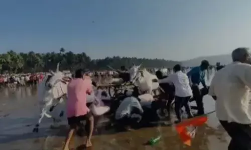 भाजप नेत्याने आयोजित केलेल्या बैलगाडा शर्यतीमध्ये अपघात, उधळलेल्या बैलांची प्रेक्षकांना धडक भाजप नेत्याने आयोजित केलेल्या बैलगाडा शर्यतीमध्ये अपघात, उधळलेल्या बैलांची प्रेक्षकांना धडक