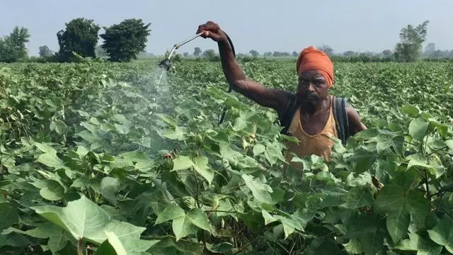 शेती क्षेत्रासाठी अर्थसंकल्प समिश्रच; अधिक तरतुदींची अपेक्षा होती: किसान सभा