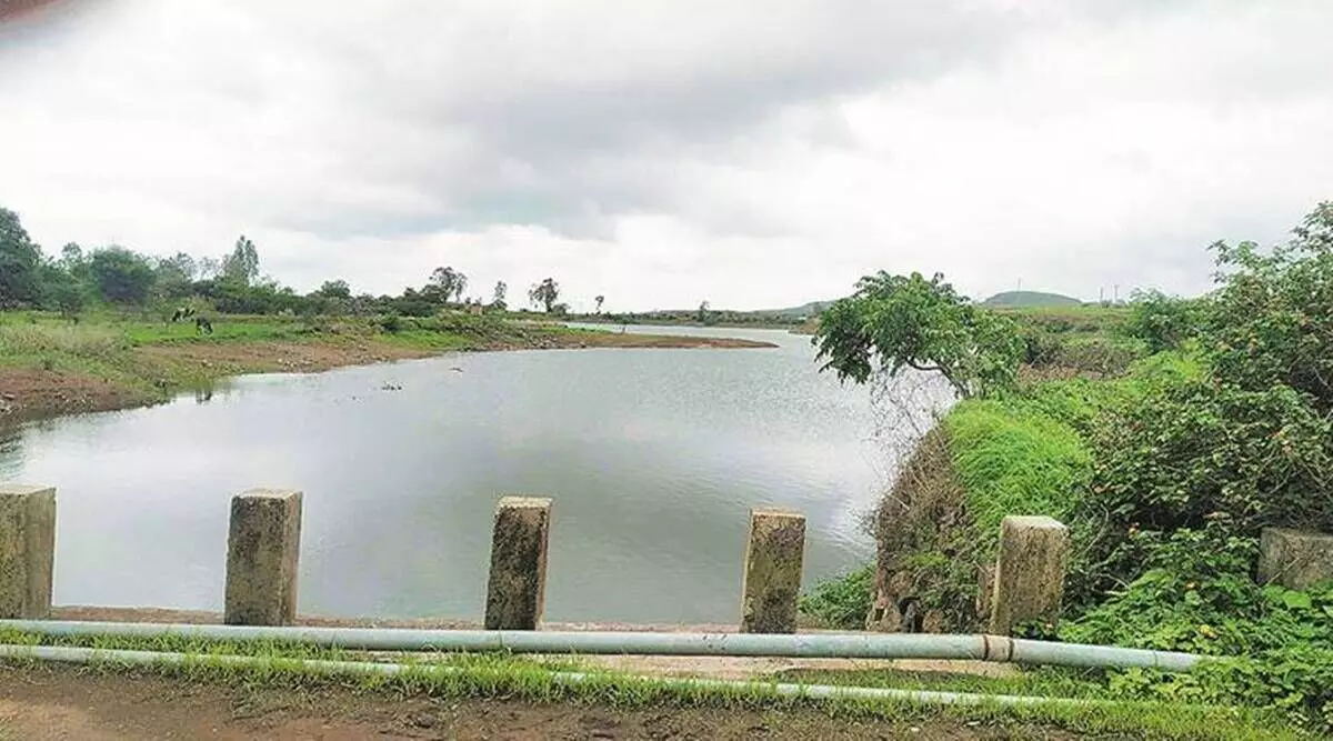 महाराष्ट्राच्या कृषी विभागात बियाणांचा मोठा घोटाळा - वसंत मुंडे यांचा गंभीर आरोप...!