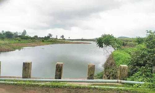 महाराष्ट्राच्या कृषी विभागात बियाणांचा मोठा घोटाळा - वसंत मुंडे यांचा गंभीर आरोप...! महाराष्ट्राच्या कृषी विभागात बियाणांचा मोठा घोटाळा - वसंत मुंडे यांचा गंभीर आरोप...!