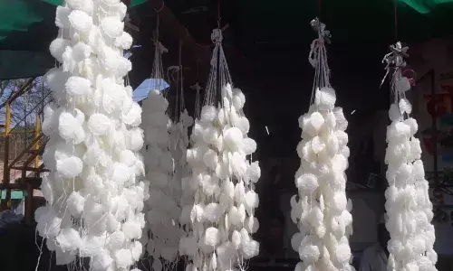 वाढत्या पेट्रोल आणि डिझेलच्या किंमतीमुळे गुढीपाडव्याच्या सणावर महागाईचे सावट वाढत्या पेट्रोल आणि डिझेलच्या किंमतीमुळे गुढीपाडव्याच्या सणावर महागाईचे सावट