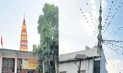 नांदेड जिल्ह्यात आहे बिनभोंग्याचे गाव नांदेड जिल्ह्यात आहे बिनभोंग्याचे गाव