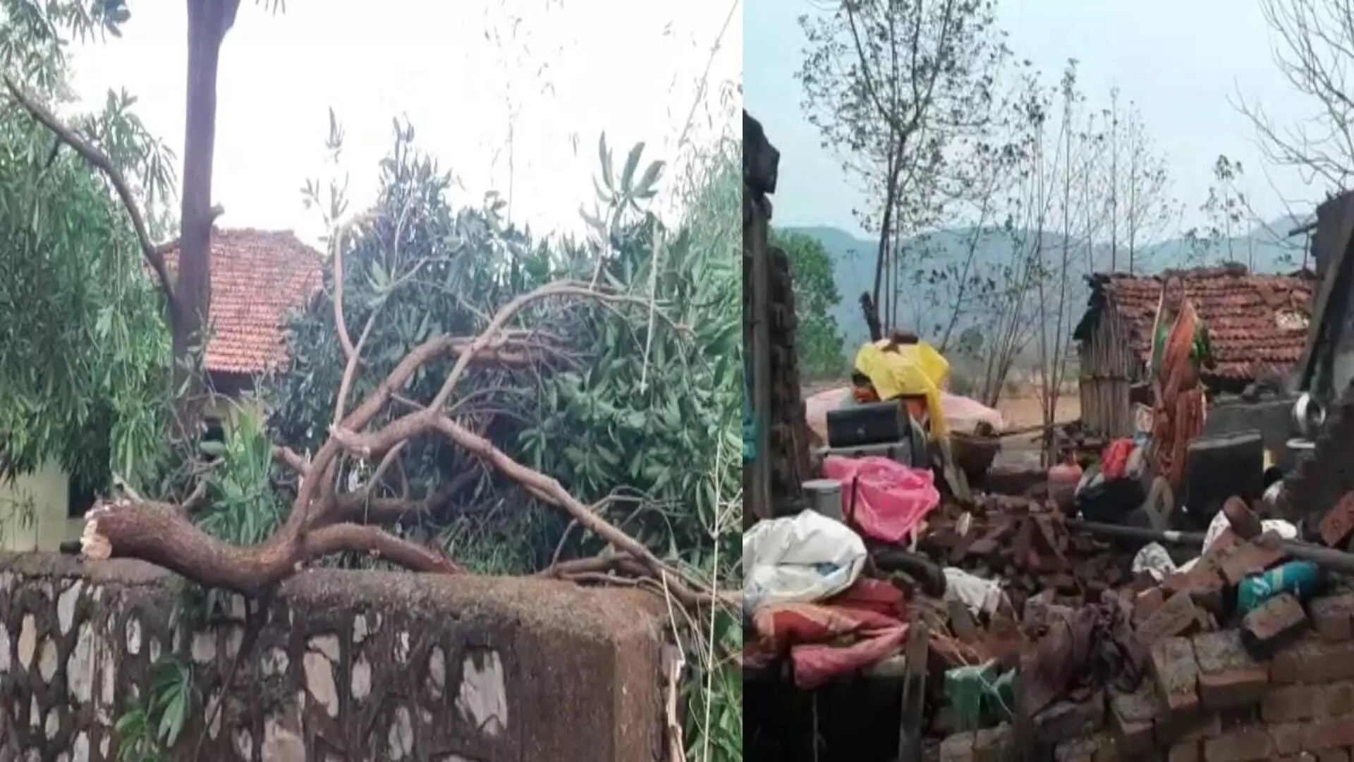 रायगडमध्ये अवकाळी पाऊस, आंबा उत्पादकांना फटका