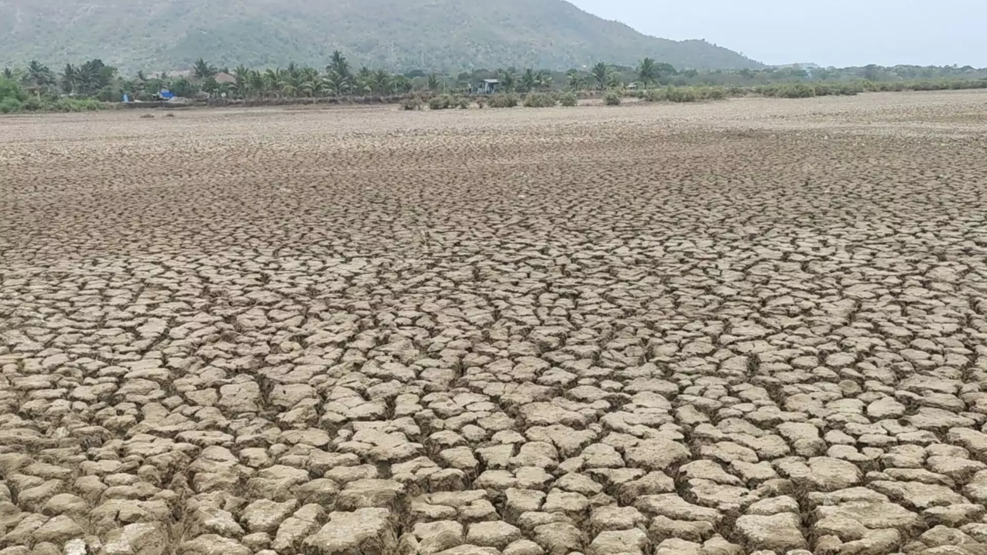 जमिनी परत मिळाव्यात, खारेपाट विभाग शेतकऱ्यांची सरकारकडे जोरदार मागणी