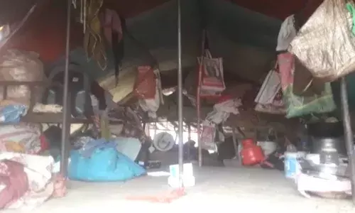 कान्स आंतरराष्ट्रीय चित्रपट महोत्सवात निवड झालेल्या पोटरा चित्रपटाच्या अभिनेत्रीचा संघर्ष कान्स आंतरराष्ट्रीय चित्रपट महोत्सवात निवड झालेल्या पोटरा चित्रपटाच्या अभिनेत्रीचा संघर्ष