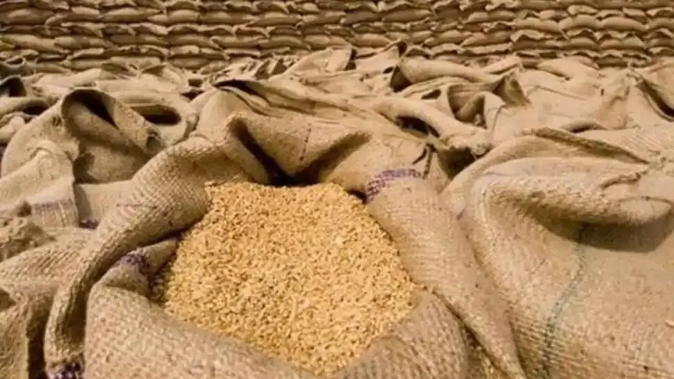 #Wheat_Export_Ban गव्हाच्या निर्यातीवर अखेर बंदी, वाढत्या किमतीनंतर सरकारचा मोठा निर्णय