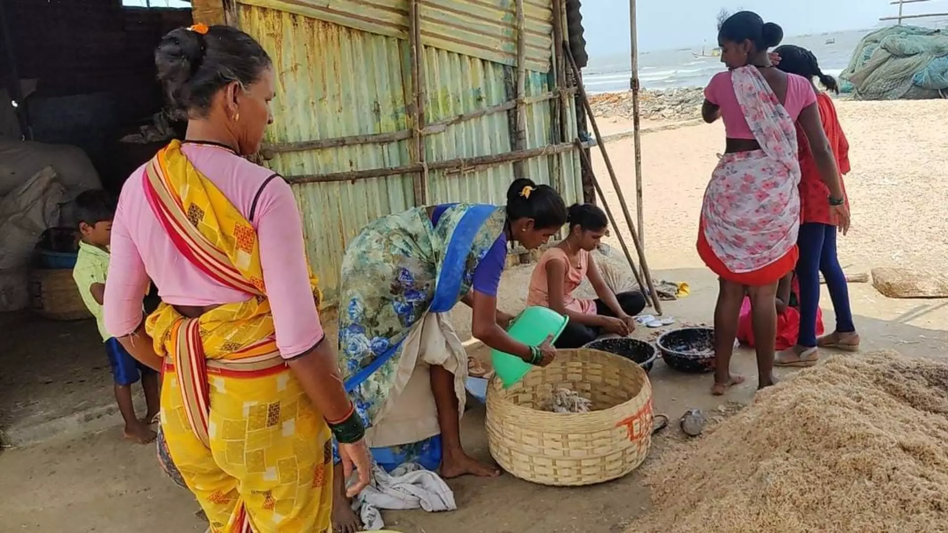 कोकणातील समुद्रकिनारी जेलिफिशचे थैमान, मासेमारी अडकली समस्यांच्या जाळ्यात