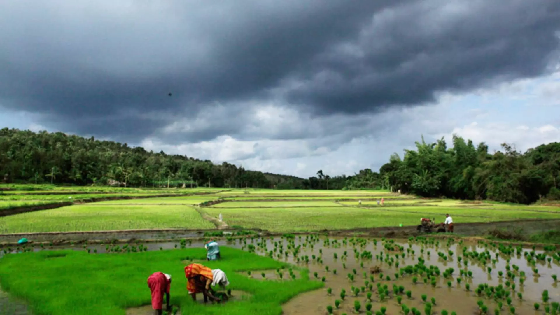 Monsoon : शेतकऱ्यांनी मान्सूनआधी काय तयारी करावी?