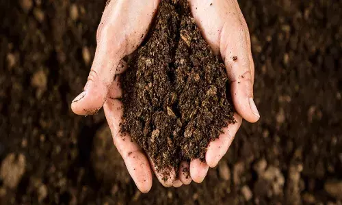 Save soil मोहिमेच्या जनजागृतीसाठी दिल्लीचा युवक निघाला कन्याकुमारीला ; सात हजार किलोमीटरचा प्रवास सायकलवर सुरू Save soil मोहिमेच्या जनजागृतीसाठी दिल्लीचा युवक निघाला कन्याकुमारीला ; सात हजार किलोमीटरचा प्रवास सायकलवर सुरू
