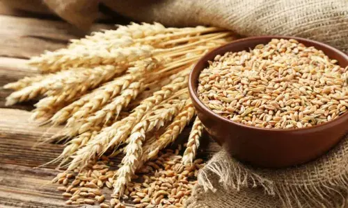 विश्लेषण : गव्हाची निर्यातबंदी कुणासाठी? विश्लेषण : गव्हाची निर्यातबंदी कुणासाठी?