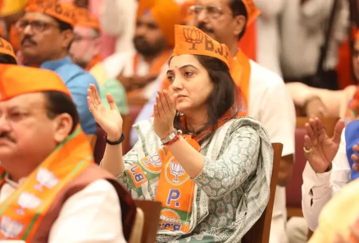 भाजपच्या प्रवक्त्यांमुळे भारताची जगभरात नाचक्की झाली आहे का?