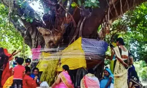 वटसावित्री की विवेक सावित्री? वटसावित्री की विवेक सावित्री?