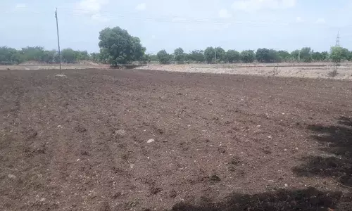 पाऊस लांबला;धीर धरा पेरणीची घाई नको पाऊस लांबला;धीर धरा पेरणीची घाई नको