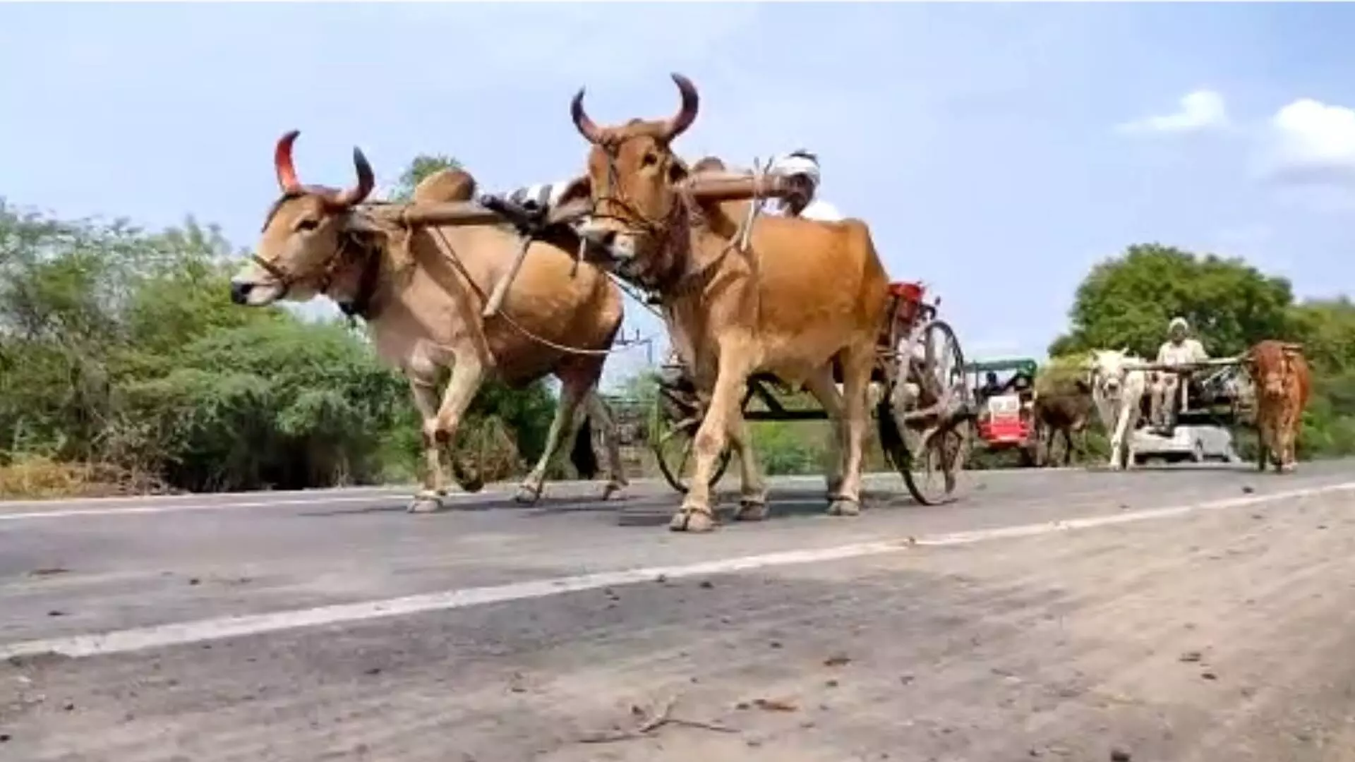 झाडी, डोंगार आणि हॉटेलमध्ये मंत्री व्यस्त, शेतकरी बांधावर त्रस्त