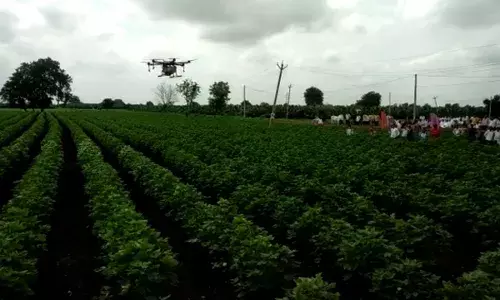 #MaxKisan 7 मिनिटात एका एकर मध्ये ड्रोन द्वारे फवारणी... #MaxKisan 7 मिनिटात एका एकर मध्ये ड्रोन द्वारे फवारणी...