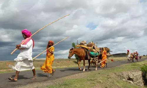 मेंढपाळांचा जलमाचा वनवास संपणार तर कधी ?