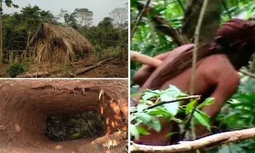 मॅन ऑफ द होल गेला आणि जगातून त्याची जमातही संपली....