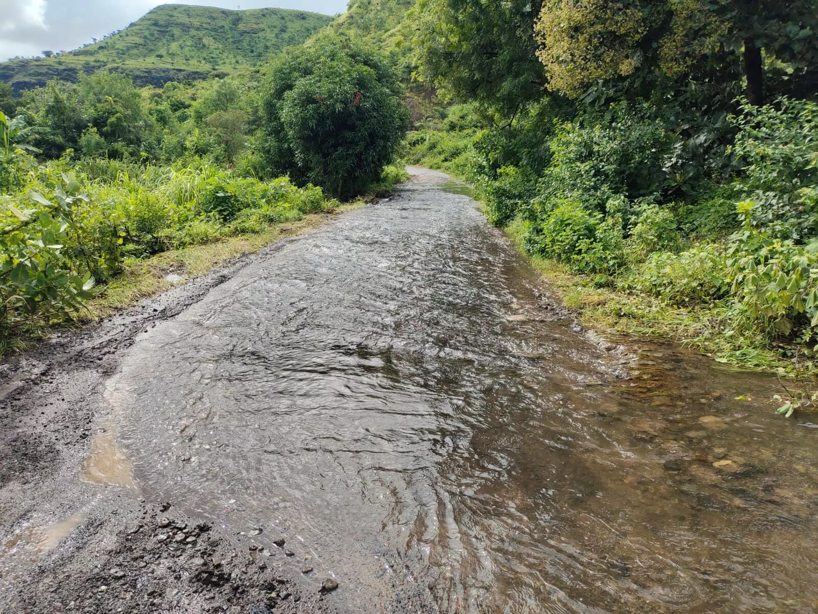 मुसळधार पावसामुळे शेतकऱ्यांचं प्रचंड नुकसान, प्रशासनाकडे केली मदतीची मागणी