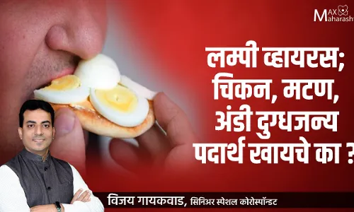 लम्पी व्हायरस ; चिकन, मटण, अंडी दुग्धजन्य पदार्थ खायचे का?