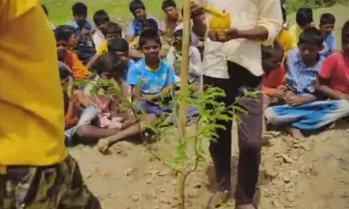 जिल्हा परिषद शाळेच्या विद्यार्थ्यांनी जगवले पाच हजार वृक्ष.... जिल्हा परिषद शाळेच्या विद्यार्थ्यांनी जगवले पाच हजार वृक्ष....