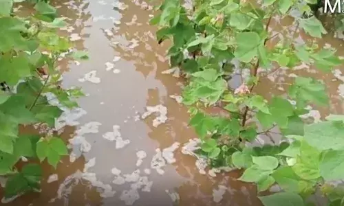 अतिवृष्टीने उध्वस्त शेतकरी वर्षभरानंतरही मदतीविनाच