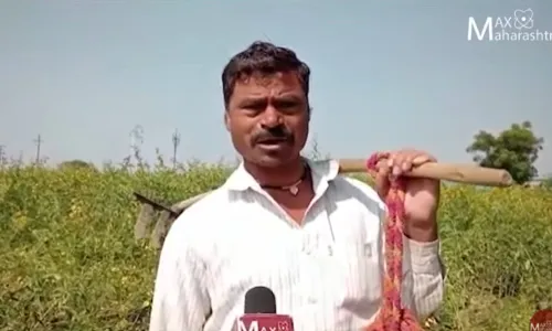 नाहीतर आम्ही उध्वस्त होऊ, शेतकऱ्यांची देवेंद्र फडणवीस यांना आर्त हाक नाहीतर आम्ही उध्वस्त होऊ, शेतकऱ्यांची देवेंद्र फडणवीस यांना आर्त हाक