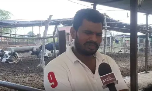 बाप रे ! आठवी पास युवक कमवतोय महिन्याला अडीच लाखांचा नफा बाप रे ! आठवी पास युवक कमवतोय महिन्याला अडीच लाखांचा नफा