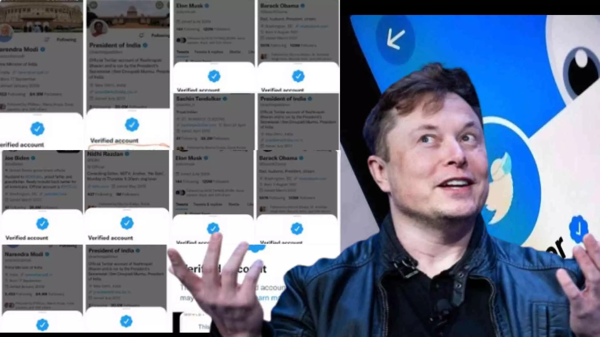 Twitter Blue Tick : ब्लू टिक मिळालेले भ्रष्ट, एलन मस्कच्या ट्वीटमुळे नवा वाद