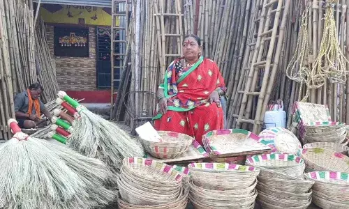 प्लास्टिकच्या वस्तूंनी आमच्या बांबू व्यवसायाला उद्ध्वस्त केलं... प्लास्टिकच्या वस्तूंनी आमच्या बांबू व्यवसायाला उद्ध्वस्त केलं...