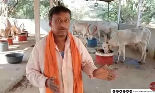 गो शाळा चालकांच्या मानेवर आर्थिक अडचणींचा सुरा