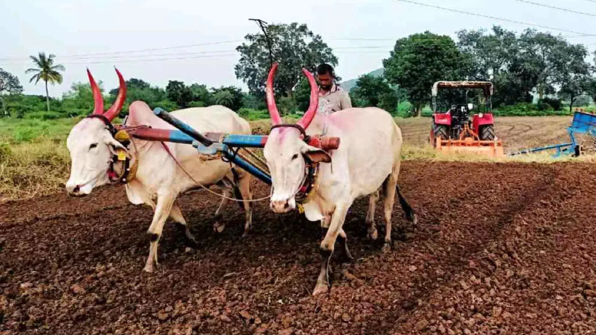 तुम्ही शेतकरी असाल तर या योजनांचा मिळेल लाभ