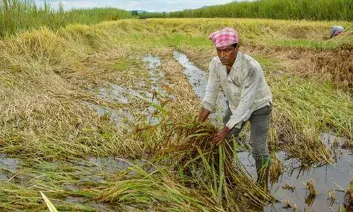 महाराष्ट्रात पुन्हा गारपीट ? ;  या जिल्ह्यांना यलो अलर्ट आणि ऑरेंज अलर्ट..