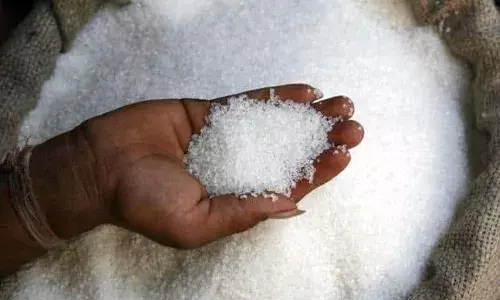 SugarMaharashtra साखर कारखान्याच्या खेळत्या भांडवलाच्या चेंडू आता समितीच्या कोर्टात