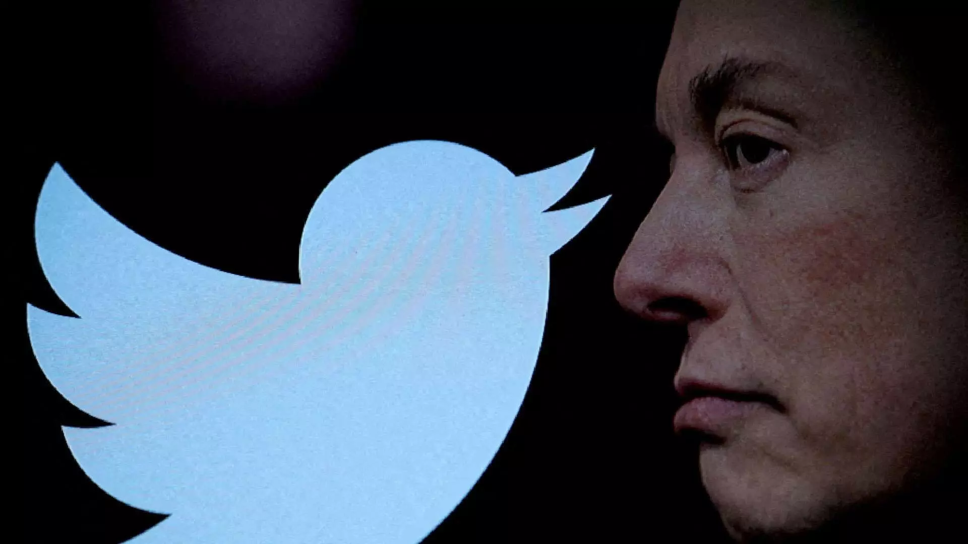 Twitter CEO : एलन मस्क देणार ट्विटरचा राजीनामा