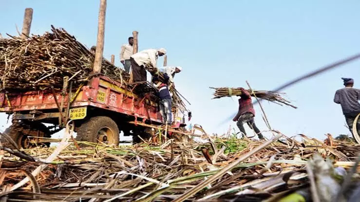 वाचा साखरेच्या राजकारणापलीकडची गोष्ट...