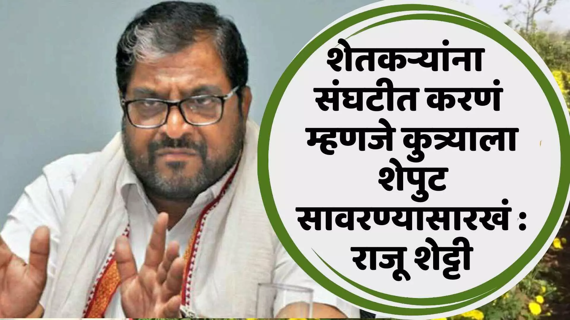 शेतकऱ्यांना संघटीत करणं म्हणजे कुत्र्याला शेपुट सावरण्यासारखं : राजू शेट्टी