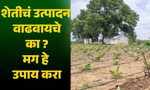 उत्पादन वाढवायचे का मग हे उपाय करा...