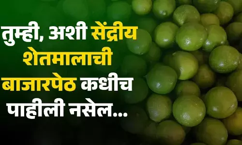 तुम्ही, अशी सेंद्रीय शेतमालाची बाजारपेठ कधीच पाहीली नसेल.. तुम्ही, अशी सेंद्रीय शेतमालाची बाजारपेठ कधीच पाहीली नसेल..